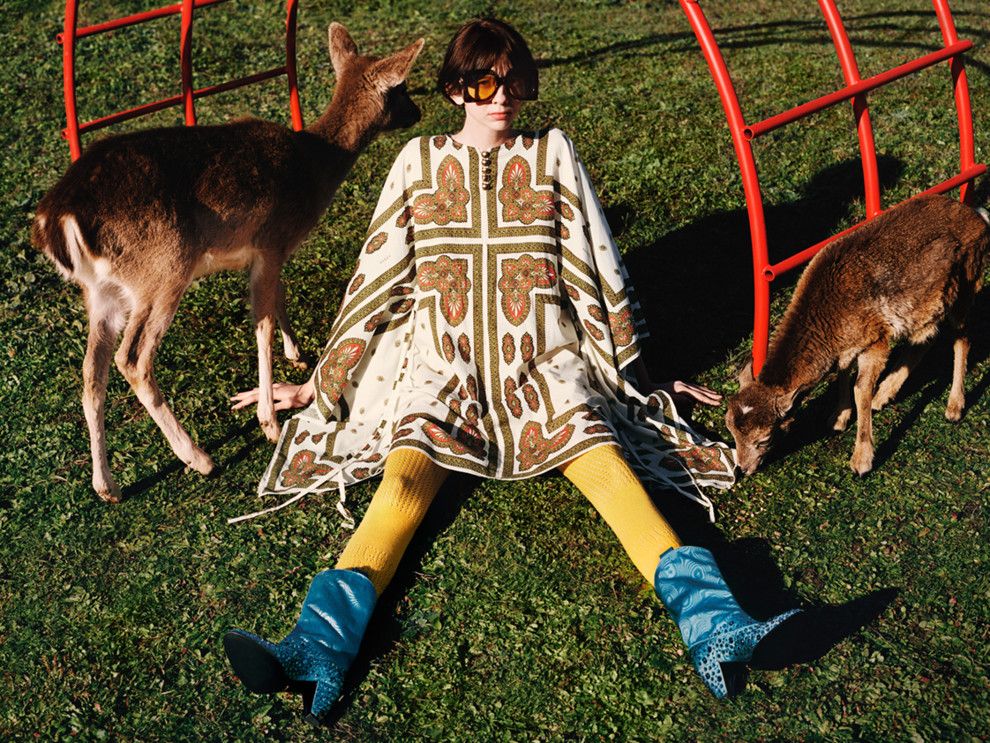 Ежи и олени: Gucci снял рекламу, где главными героями стали зверьки - фото 476887