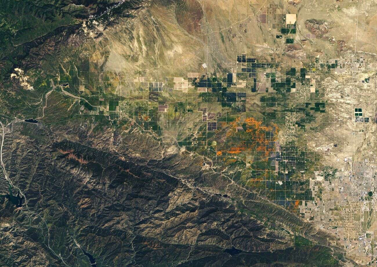 В Калифорнии так обильно зацвели маковые поля, что их видно из космоса - фото 477549