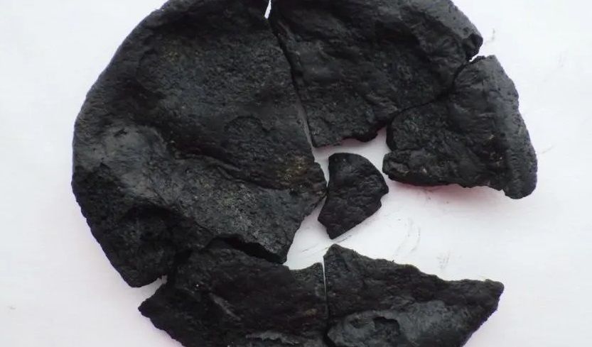 Французские археологи нашли 2000-летний хлеб и определяют, с чего же он сделан - 479970 Французские археологи нашли 2000-летний хлеб и определяют, с чего же он сделан - фото 479970