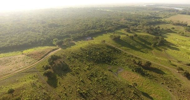 Вчені не ймуть віри, що знайшли в Мексиці найдавнішу споруду майа - фото 480263