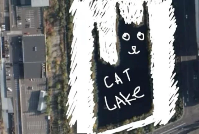 В Киеве нашли озеро в форме кота, и теперь на него грандиозные планы - фото 480348