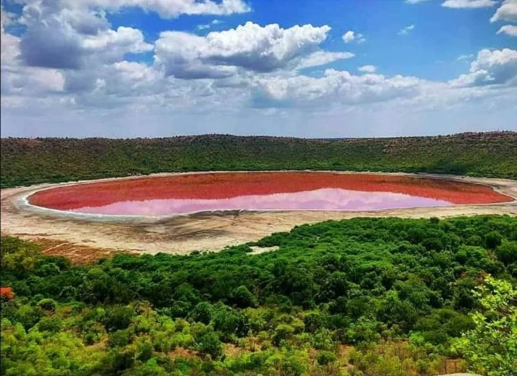 Природні чари: в Індії озеро всього за ніч змінило колір із зеленого на рожевий - фото 481315