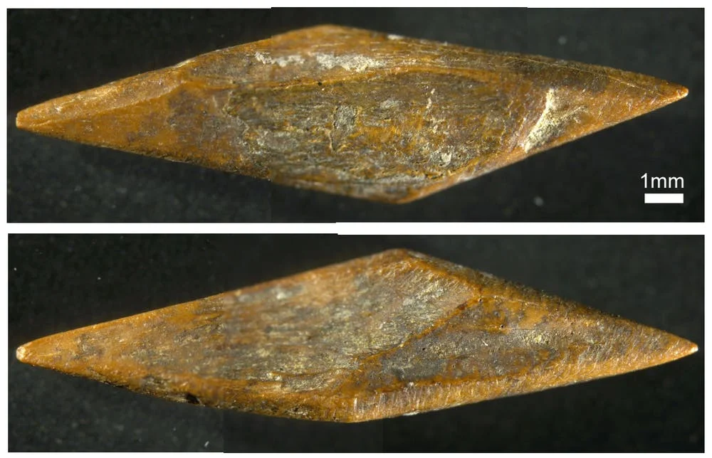 На Шри-Ланке нашли самые старые стрелы в Азии — им 48 тысяч лет - фото 481438