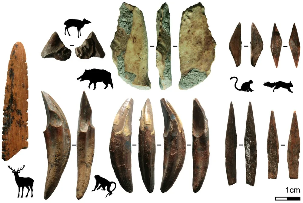 На Шри-Ланке нашли самые старые стрелы в Азии — им 48 тысяч лет - фото 481439