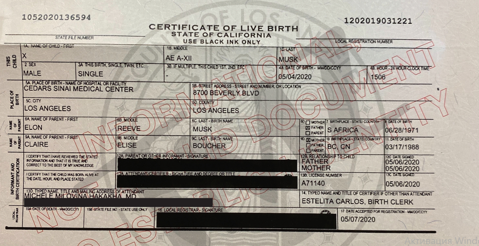 Ни шутили: в сети появилось свидетельство о рождении сына Илона Маска и Граймс - 481639 Ни шутили: в сети появилось свидетельство о рождении сына Илона Маска и Граймс - фото 481639