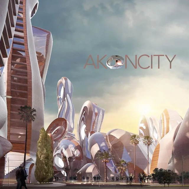 Відомий репер Akon збудує власне екологічне місто із новою валютою - фото 481844
