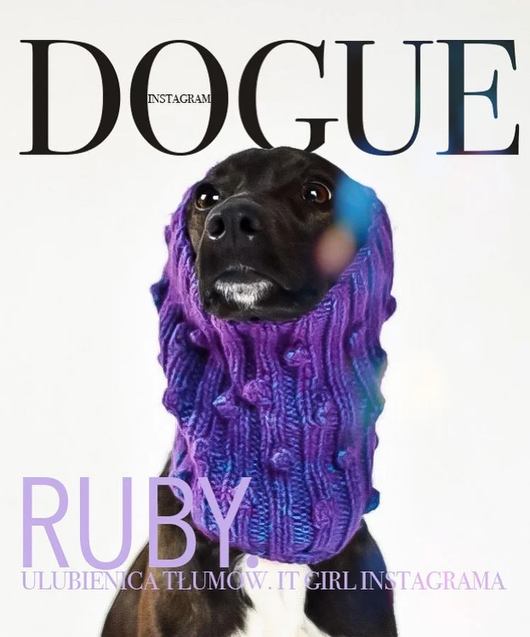 Юзеры создают крутые обложки для Vogue с собаками, потому что это новый забавный челлендж - фото 481849