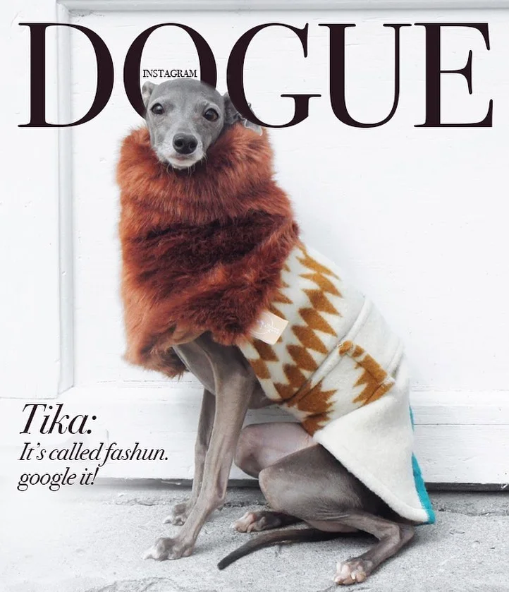Юзери створюють круті обкладинки для Vogue із собаками, бо це новий забавний челендж - фото 481850