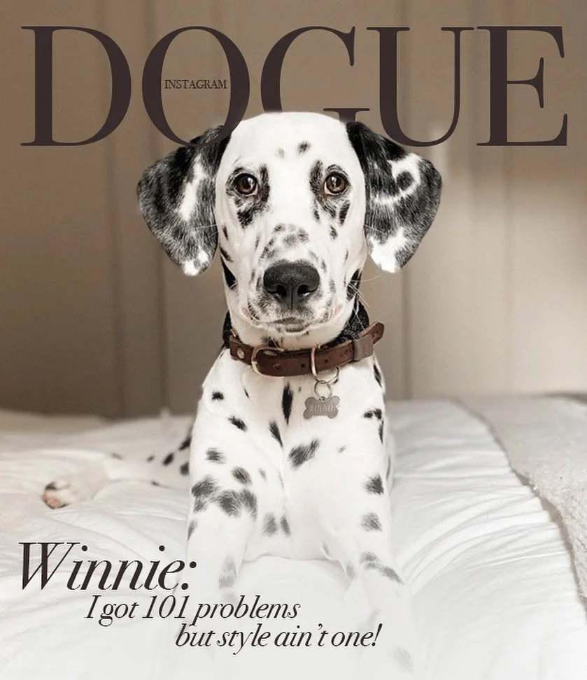 Юзеры создают крутые обложки для Vogue с собаками, потому что это новый забавный челлендж - фото 481852