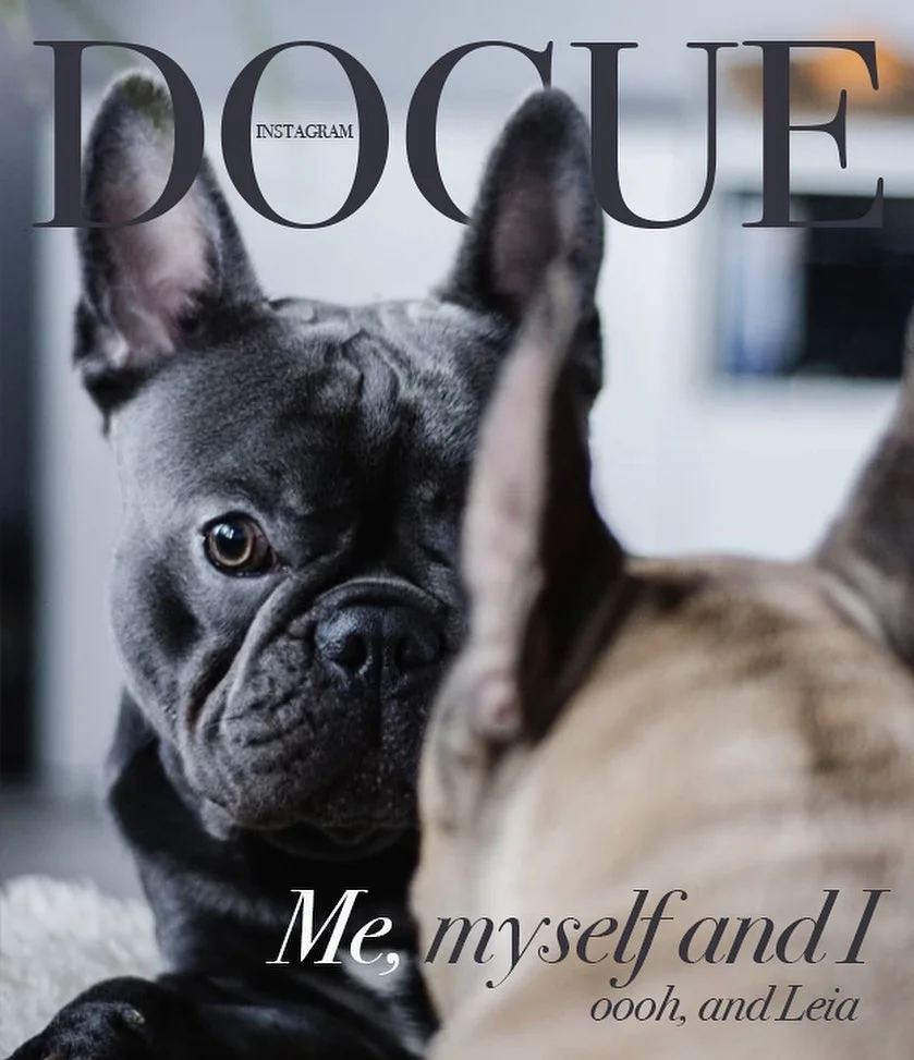 Юзери створюють круті обкладинки для Vogue із собаками, бо це новий забавний челендж - фото 481854