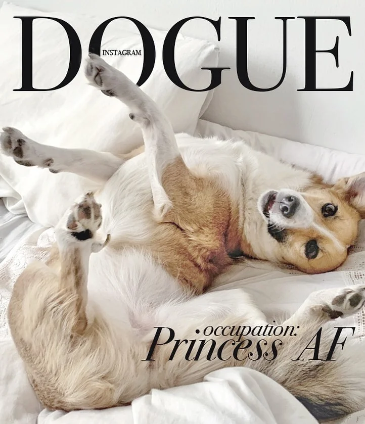 Юзери створюють круті обкладинки для Vogue із собаками, бо це новий забавний челендж - фото 481855
