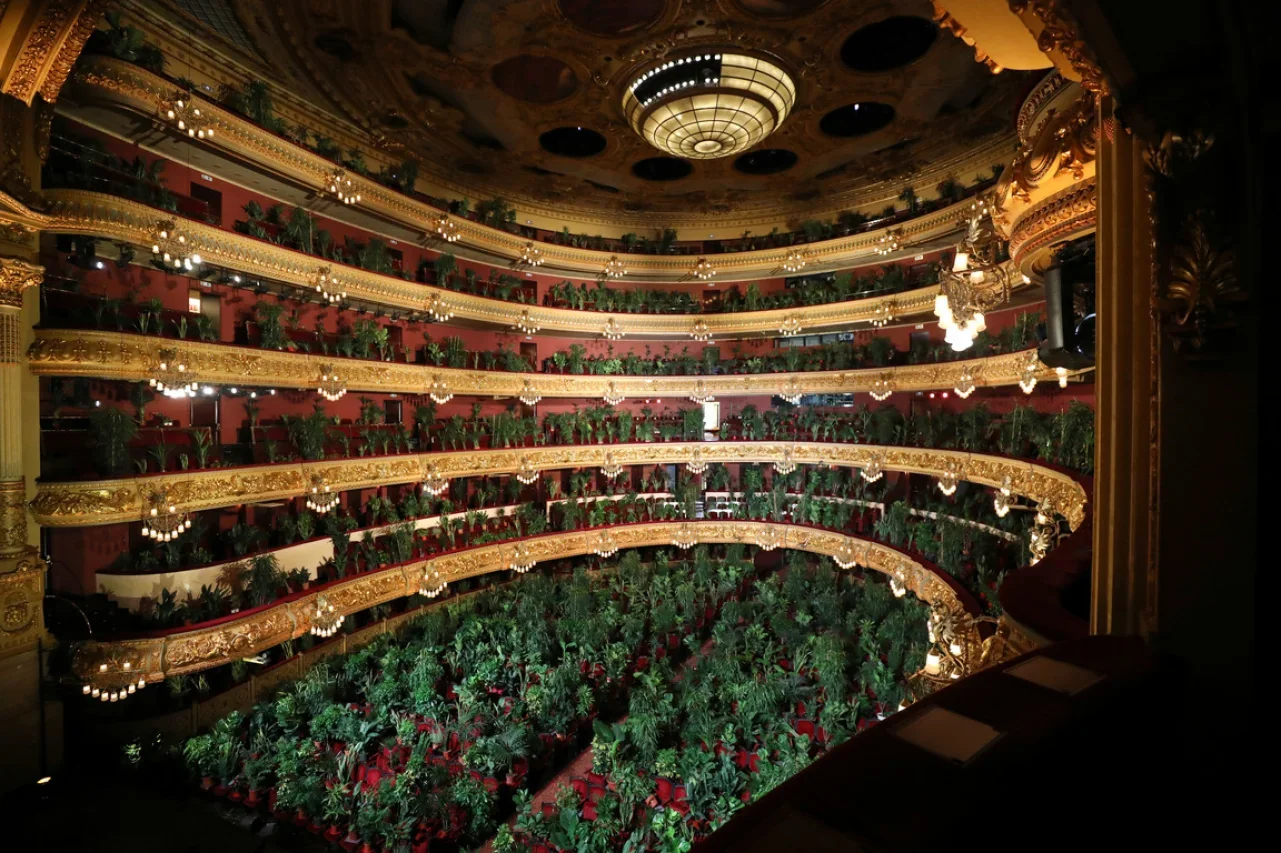 Барселонская опера провела первый концерт после карантина - слушателями были растения - фото 482327