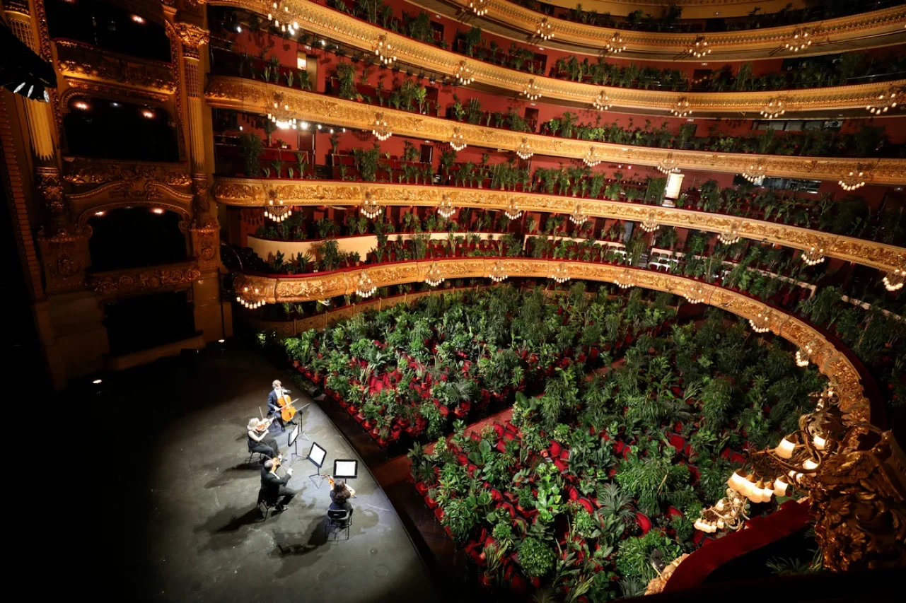 Барселонська опера провела перший концерт після карантину - слухачами були рослини - фото 482328