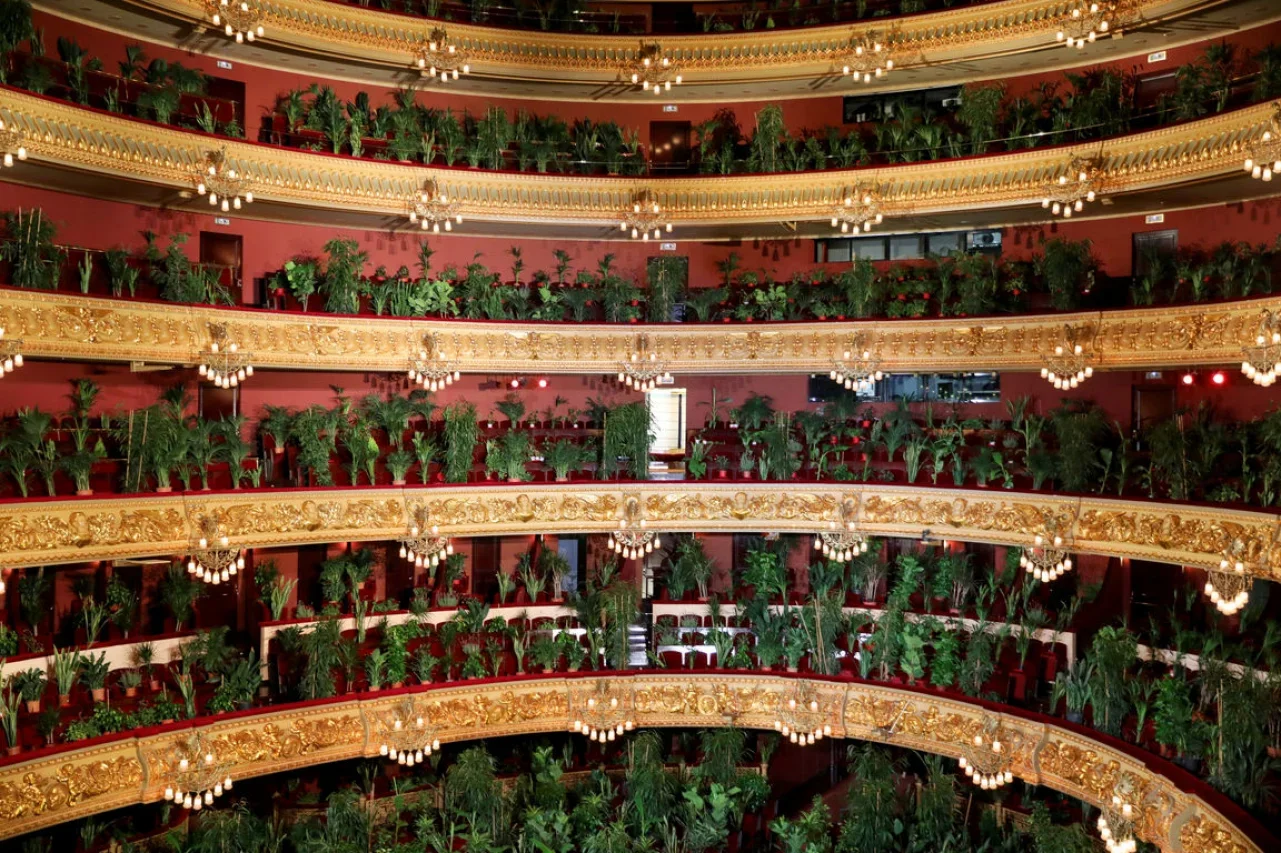 Барселонська опера провела перший концерт після карантину - слухачами були рослини - фото 482329