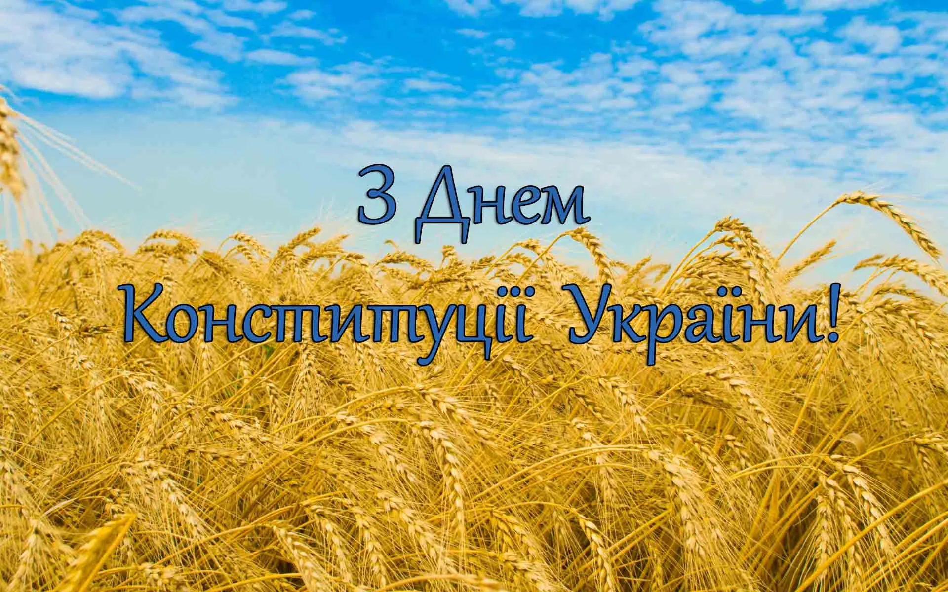 День Конституции Украины 2023: картинки и открытки для поздравлений - фото 482476