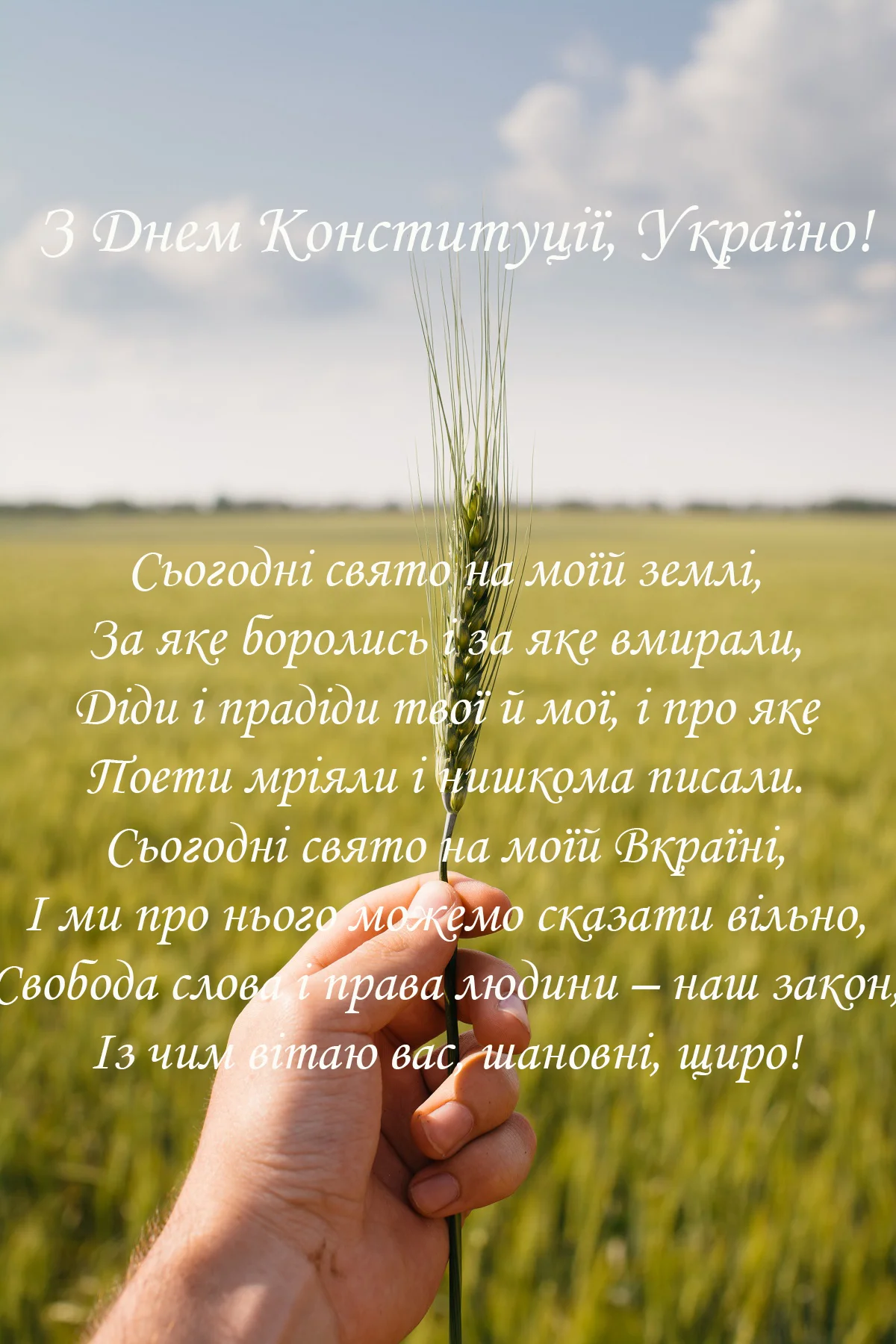 День Конституции Украины 2023: картинки и открытки для поздравлений - фото 482479