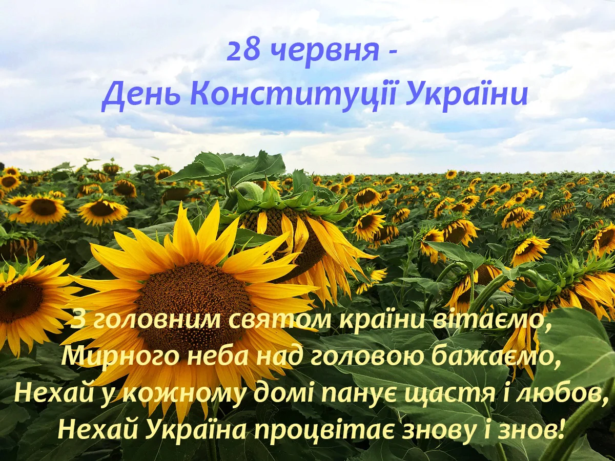 З Днем Конституції України картинки українською мовою - фото 482482