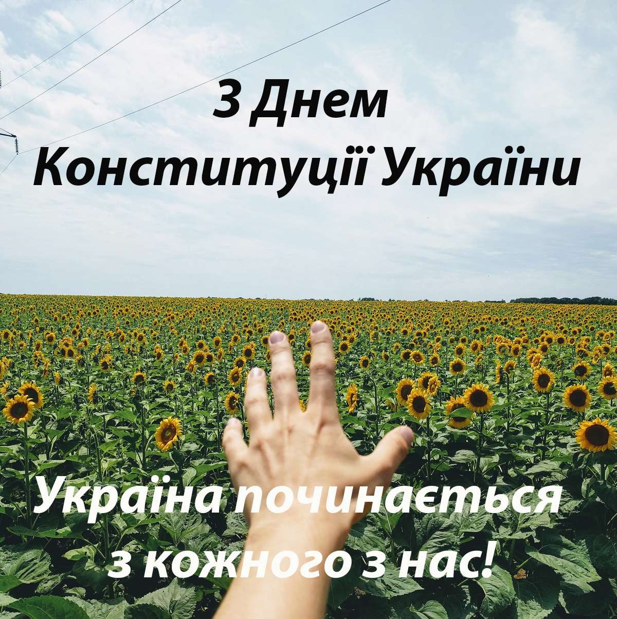 Картинки з Днем Конституції України 2022 - листівки для привітань - фото 482483