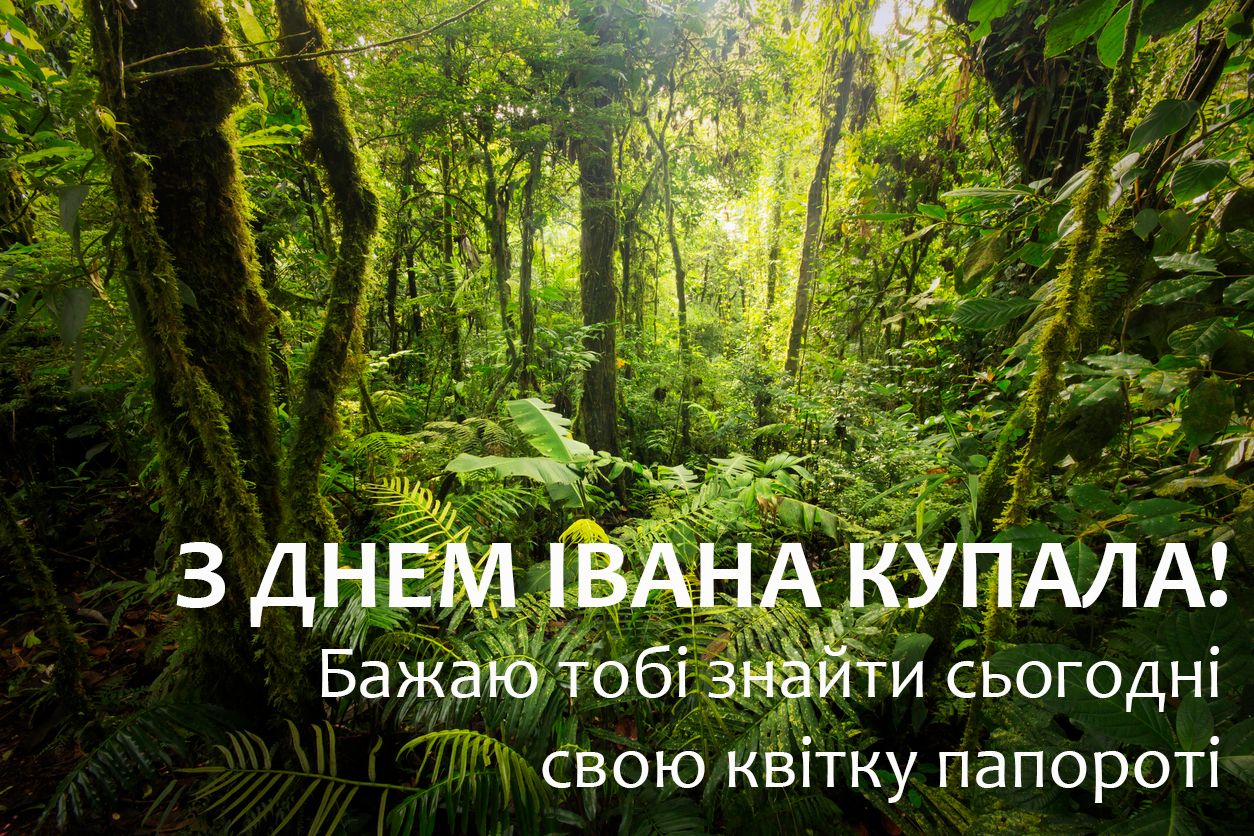 Картинки с Ивана Купала 2023: поздравительные открытки к празднику - 482596 Картинки с Ивана Купала 2023: поздравительные открытки к празднику - фото 482596