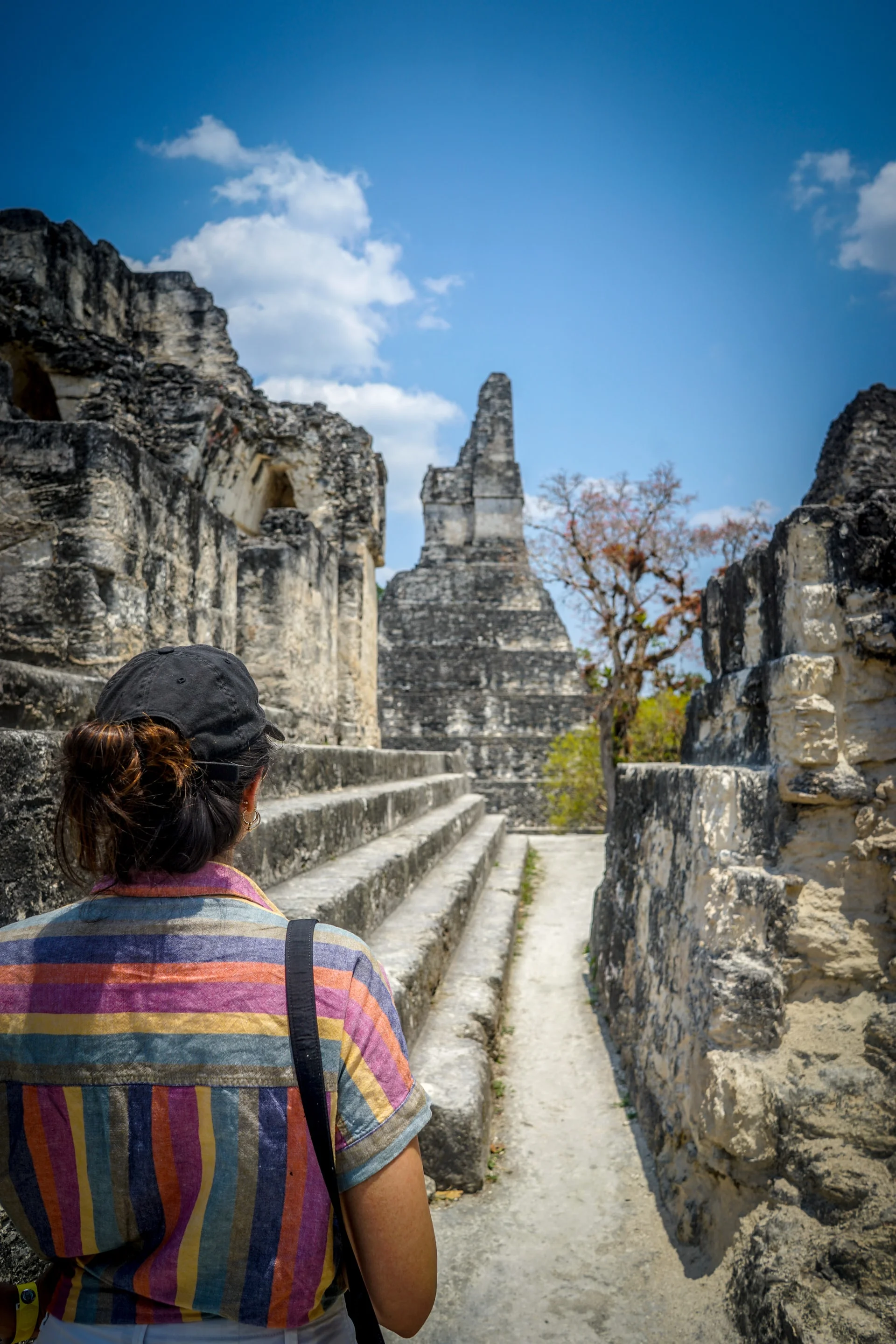 Ученые разгадали, почему более 1000 лет назад столица майя стала безлюдной - фото 482958