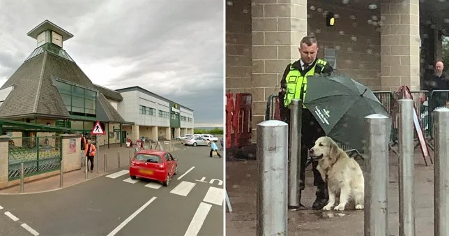 Охранник закрыл чужого собаку от непогоды зонтиком и стал новым супергероем - фото 482995