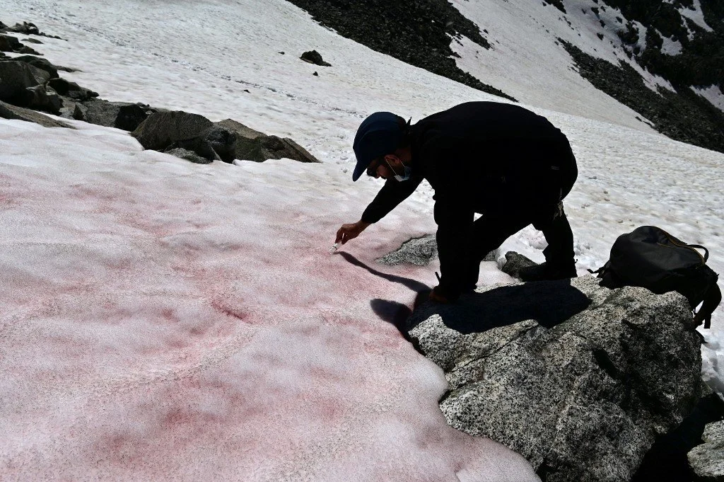 Ігри природи: Альпи раптово стали рожевими, і це красиво й дивно водночас - фото 483635