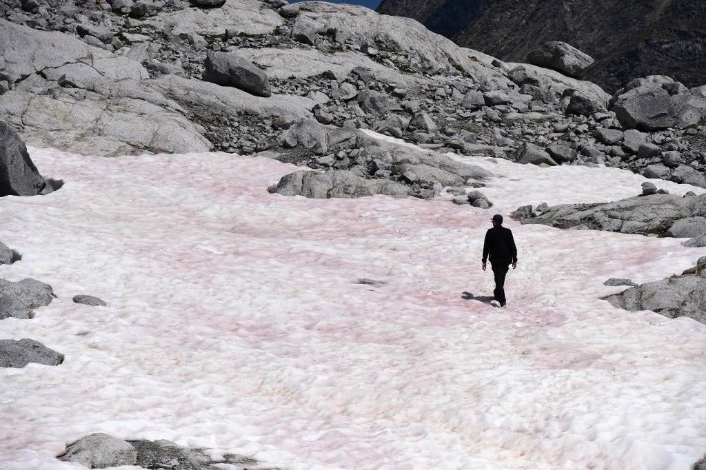 Ігри природи: Альпи раптово стали рожевими, і це красиво й дивно водночас - фото 483636