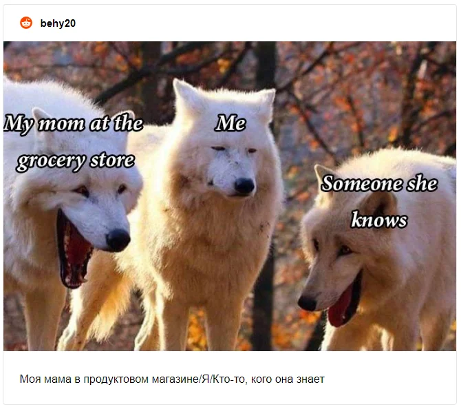 Тебя покорят новые мемы с волками, которые скорчили очень забавные мордочки - фото 483795