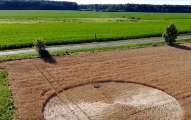 На венгерском поле появился большой загадочный круг — сюда уже приписали инопланетян - фото 483824