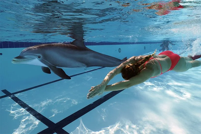 Китайский аквариум заказал робота-дельфина, которого ты ни за что не отличишь от живого - фото 484385