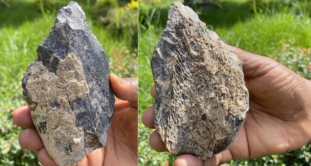 Невероятно, но факт: в Эфиопии нашли орудия труда, которому 1,4 млн лет - фото 485005