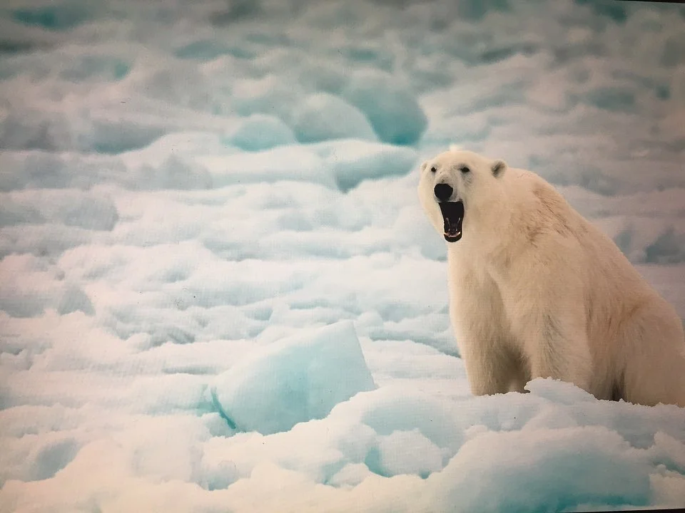 Потрясающе: солистка группы ONUKA показала, как два года назад побывала в Арктике - фото 485967