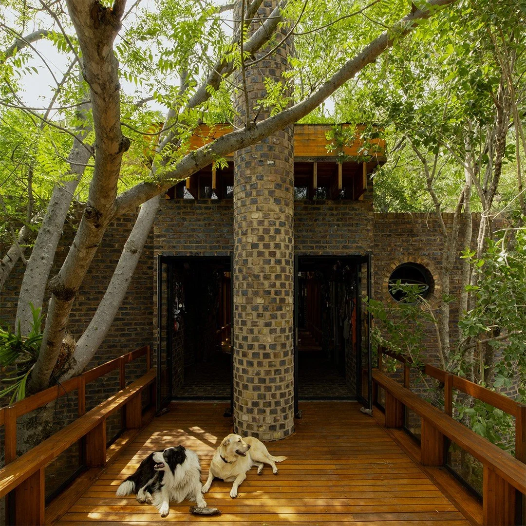 Ювелірно: у Африці звели надвузький будинок посеред лісу, аби не чіпати жодного дерева - фото 486578