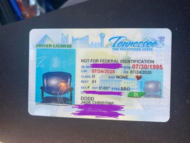 Американка получила водительские права, но вместо нее на фото был пустой cтул - фото 488109