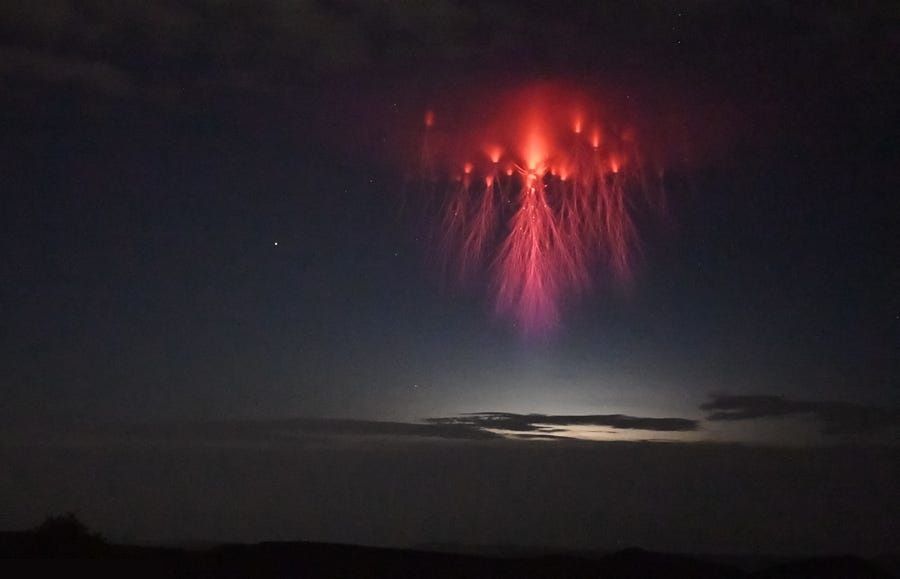 Американец сфотографировал огромную красную молнию, похожую на медузу - фото 488228