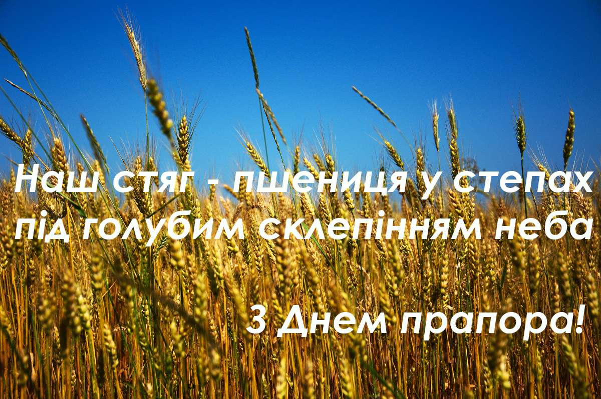 С Днем Флага Украины: поздравления в картинках - фото 488644