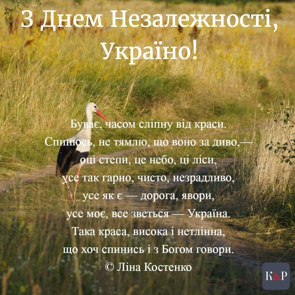 День Незалежності України 2022: вітальні картинки і листівки до свята - фото 488673