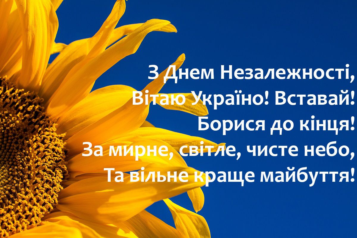 День Незалежності України 2022: вітальні картинки і листівки до свята - фото 488679