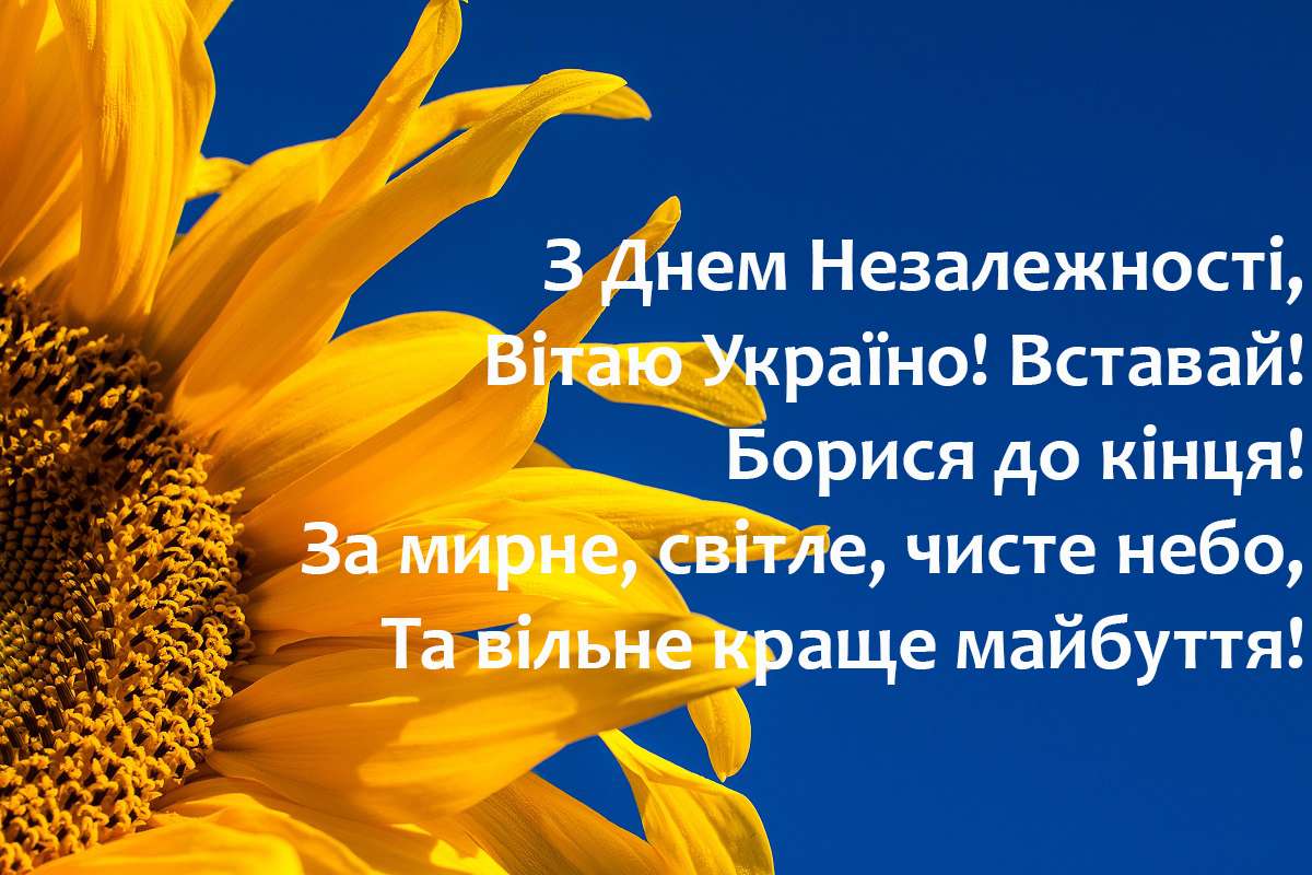 З Днем Незалежності України листівки 2020 - фото 488679