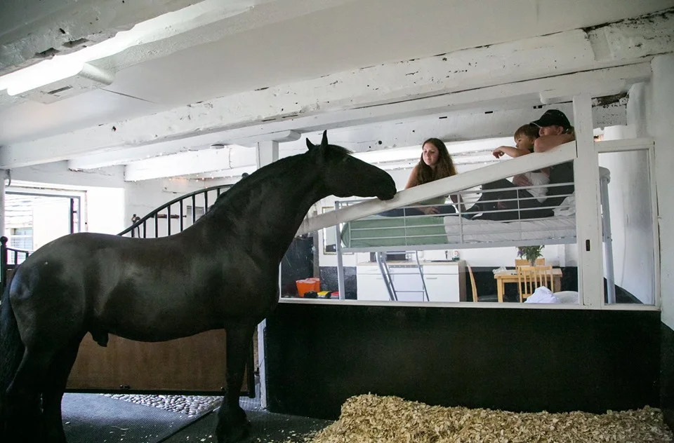 В Британии есть гостиница, где можно заночевать в стойле с лошадьми, и это не так дешево - фото 489926