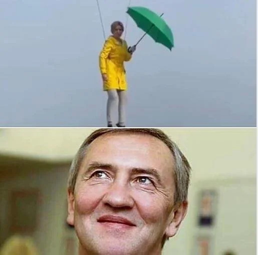 В сети распространяются мемы с украинской депутаткой, которая полетала на зонтике - фото 489940