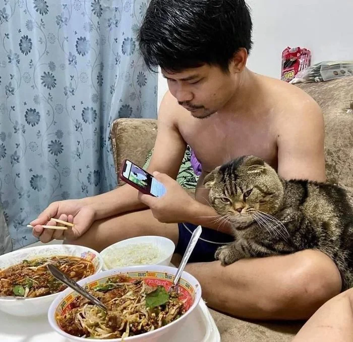 Кот, который ревнует хозяина к жене, покорил интернет своими эмоциями - фото 490099