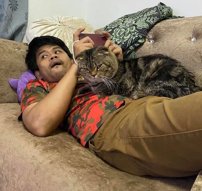 Кот, который ревнует хозяина к жене, покорил интернет своими эмоциями - фото 490111