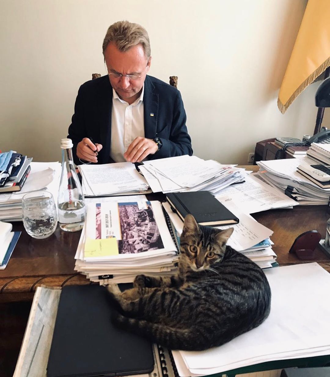 Кот из Львова покоряет Instagram и ищет хозяев для своих друзей - 491890 Кот из Львова покоряет Instagram и ищет хозяев для своих друзей - фото 491890