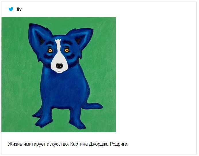 Пес испачкался в синей краске и стал живым произведением искусства – мемы не остановить - фото 492424
