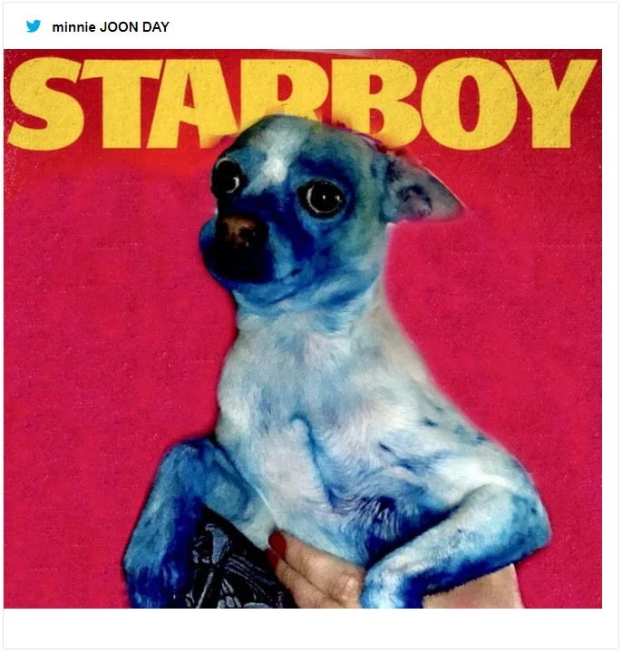 Пес испачкался в синей краске и стал живым произведением искусства – мемы не остановить - фото 492425