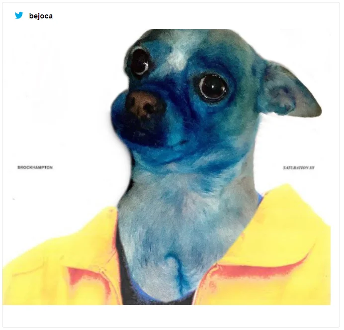 Пес испачкался в синей краске и стал живым произведением искусства – мемы не остановить - фото 492428