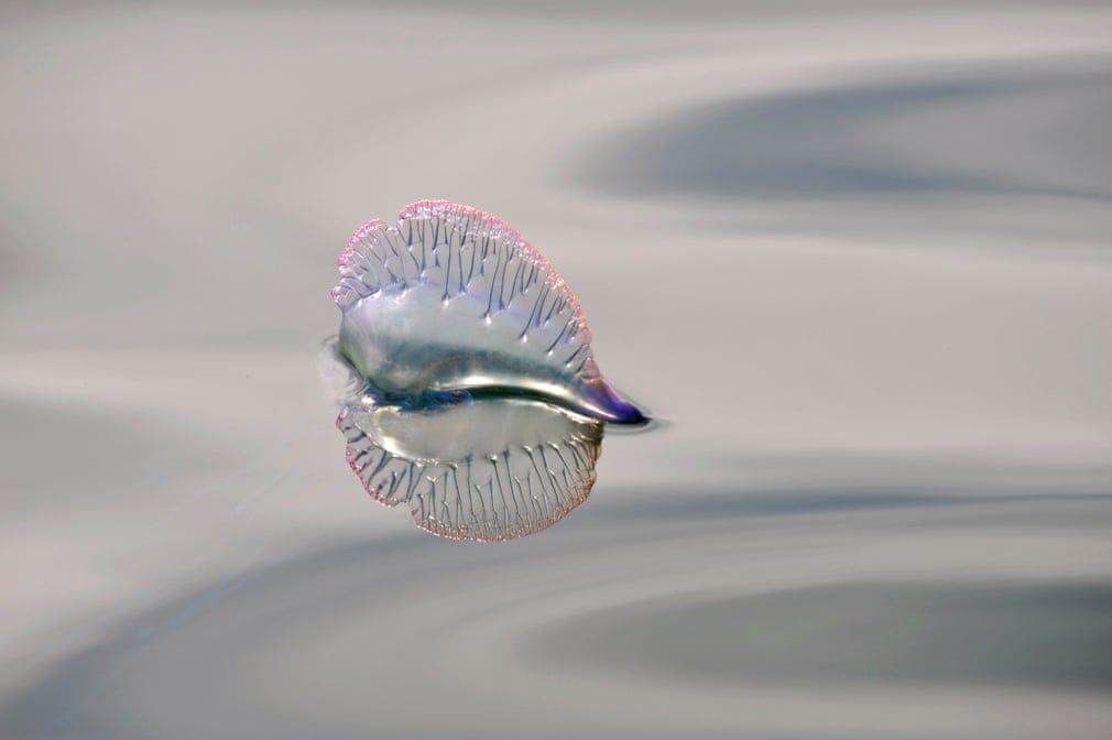 British Wildlife Photography Awards показал лучшие фотографии природы за 10 лет - 492781 British Wildlife Photography Awards показал лучшие фотографии природы за 10 лет - фото 492781