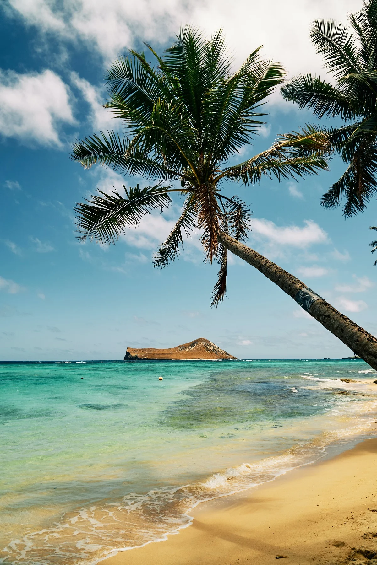 Райське місце: на Гаваях почнуть роздавати гроші, аби жителі ходили у ресторани - фото 492944