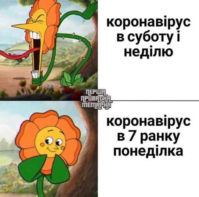 Жарти про карантин в Україні, які повеселять тебе до сліз - фото 474876